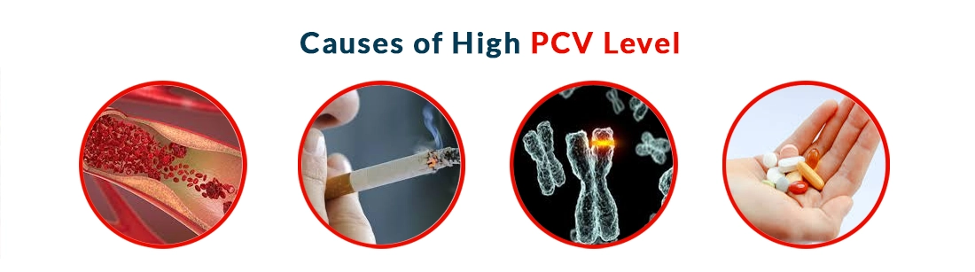 Causes of High PCV Level